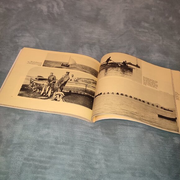 RARE Book Alaska Canned Salmon Industry Illustrated Album Historical Photos - Picture 10 of 11